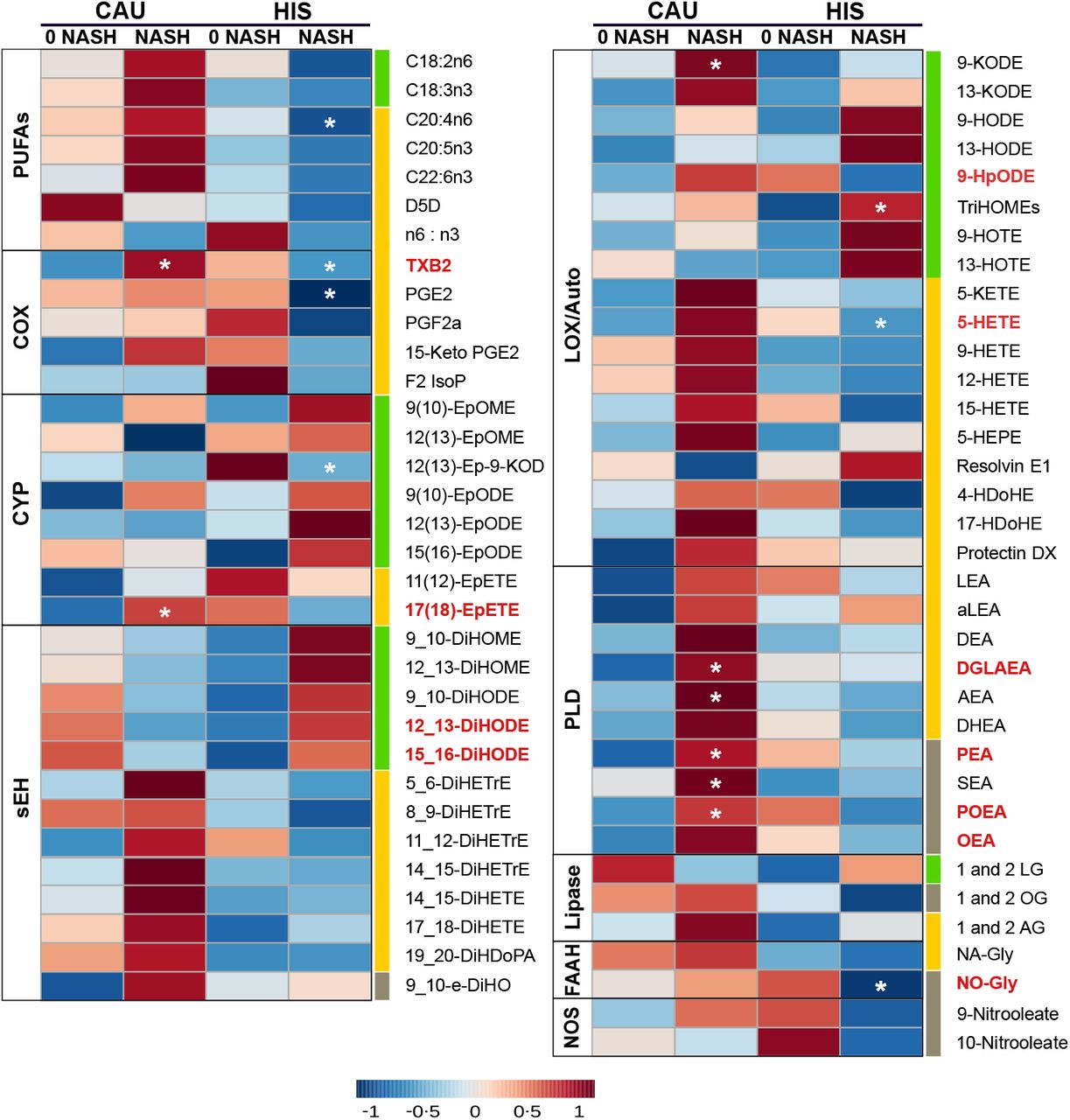 Heatmap illustrating fold changes and differences in plasma PUFA and lipid mediators between NASH compared to 0-NASH in primary cohort.Fold changes are indicated by color and intensity, with red indicating an increase, and blue indicating a decrease. Lipids different in NASH vs. 0_NASH (t-test raw p <0.05) are noted by (*). Lipids with ethnicity-related changes, or interaction (ethnicity x NASH), (ANCOVA raw p <0.05) are marked with bold red color. Fatty acids are described by number of carbons and double bounds of the fatty acyl moiety (i.e., C18:2n6). C18 PUFAs and related lipids are marked with “green”; LC-PUFAs and related lipids are marked with “yellow”; SFA and MUFA related lipids are marked with “grey”. Details on Lipids means, and corresponding p-values are detailed in Table S5. NASH (n =6 HIS and 3 CAU); 0-NASH (n =4 HIS and 5 CAU). Fatty acids are described by number of carbons and double bounds of the fatty acyl moiety (i.e., C18:2n6). CAU, Caucasian; HIS, Hispanics; NASH, Non-alcoholic steatohepatitis; ADH, alcohol dehydrogenase; AEA, arachidonoyl ethanolamine; AG, arachidonoyl glycerol; Auto, autoxidation; COX, cyclooxygenase; CYP, cytochrome P450; DEA, docosatetraenyl ethanolamide; DGLEA, dihomo-gamma-linolenoyl ethanolamide; DH, dehydrogenase; DHEA, docosahexaenoyl ethanolamide; DiHDoPA, dihydroxydocosapentaenoic acid; DiHETE, dihydroxyeicosatetraenoic acid; DiHETrE, dihydroxyeicosatrienoic acid; DiHO, dihydroxyoctadecanoic acid; DiHODE, dihydroxyoctadecadienoic acid; DiHOME, dihydroxyoctadecenoic acid; Elov, fatty acid elongase; Ep- KODE, epoxyoxooctadecenoic acid; EpETE, epoxyeicosatetraenoic acid; EpODE, epoxyoctadecadienoic acid; EpOME, epoxyoctadecenoic acid; F2-IsoP, F2 isoprostanes; FAAH, fatty acid amide hydrolase; Fads, fattyaciddesaturase; HDoHE, hydroxydocosahexaenoic acid; HEPE, hydroxyeicosapentaenoic acid; HETE, hydroxyeicosatetraenoic acid; HODE, hydroxyoctadecadienoic acid; HOTE, hydroxyoctadecatrienoic acid; HpODE, hydroperoxyoctadecadienoic acid; KETE, keto-eicosatetraenoic; KODE, keto-octadecadienoic acid; LEA, Linoleyl ethanolamine; LG, linoleoylglycerol; LOX, lipoxygenase; MUFA, Monounsaturated fatty acid; NA-Gly, arachidonylglycine; NAPES, N-acylphosphatidyl ethanolamine-specific; NOS - Nitric oxide synthase; NO-Gly; OEA, oleoyl ethanolamine; OG, oleoylglycerol; PEA, palmitoyl ethanolamine; PGE, prostaglandin E; PGF, prostaglandin F; PLD- N-acylphosphatidylethanolamide-phospholipase D; POEA, palmitoleoyl ethanolamide; PUFA, Polyunsaturated fatty acids; SEA, stearoyl ethanolamide; sEH, soluble epoxide hydrolase; SFA, Saturated fatty acids; TriHOME, trihydroxyoctadecaenoic acid; TXB, thromboxane.