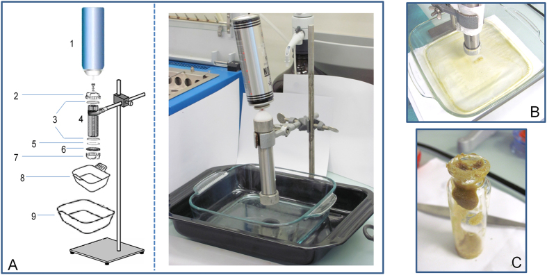 BHO fabrication design.((A) Extraction setup [1. Butane lighter refill, 2. Teflon screw with central hole for can nozzle, 3. Rubber joints, 4. Cylindrical steel extractor, 5. Paper filter, 6. Wire sieve, 7. Steel screw with large central hole, 8. Pyrex recipient for BHO collection, 9. Plate for boiling water], (B) BHO in the plate after butane evaporation, (C) BHO paste collection).