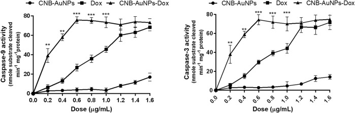 Estimation of Caspase-9, and Caspase-3 activities in A549 cells treated with various concentrations of CNB-AuNPs-Dox, Dox, and CNB-AuNPs for 24 h. The results presented are the mean ± SD of three independent experiments performed in triplicate. Significance among different dosage groups was determined using two-way ANOVA followed by Tukey’s multiple comparison tests (where *p < 0.05, **p < 0.01, and ***p < 0.001 represent significant differences between means of different treatment groups).