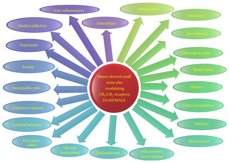 Cannabinoid receptor mediated medicinal and pharmacological activities of lead compounds isolated from medicinal plants.