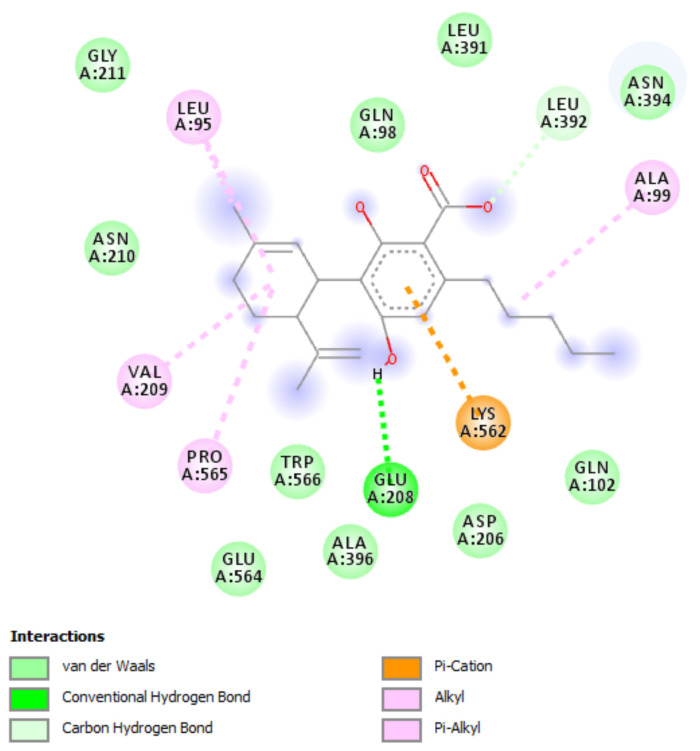 Putative interactions between cannabidiolic acid and angiotensin-converting enzyme 2 (ACE2; PDBID: 1R4L). Free energy of binding (ΔG) and affinity (Ki) are −7.3 kcal/mol and 4.5 µM, respectively.