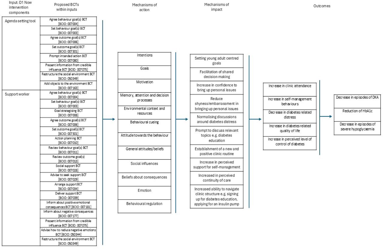 Logic model for how D1 Now is expected to work