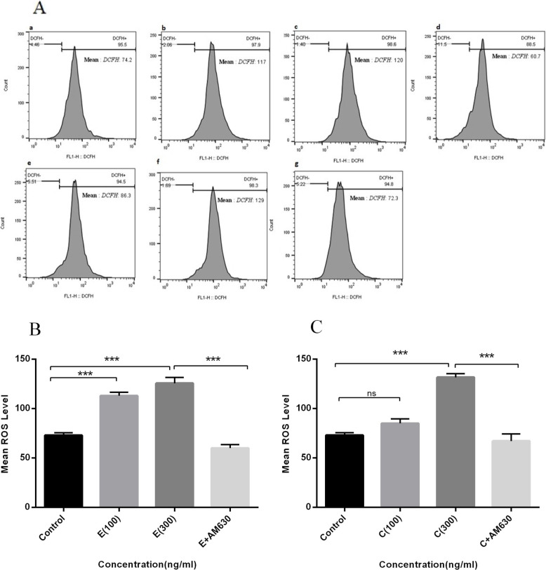 The effects of EP and CS extracts on cellular ROS level in human lung cancer cells. The A549 cells were treated with 100 and 300 ng/mL of EP and CS extracts, separately, for 36 h and subjected to ROS measurement. A: represents the flow cytometry histograms indicating the un-treated cells (a), cells treated with 100 ng/mL of EP (b), 300 ng/mL of EP (c), 300 ng/mL of EP + 50 ng/mL of AM630 (d), cells treated with 100 ng/mL of CS (e), 300 ng/mL of CS (f), and 300 ng/mL of CS + 50 ng/mL of AM630 (g). B: represents the mean level of ROS following EP treatment. C: represents the mean level of ROS following CS treatment. Data represent mean ± SD of three separate experiments. The statistical differences between treated and untreated groups were analyzed by ANOVA and are indicated by asterisks (*** = P < 0.001)