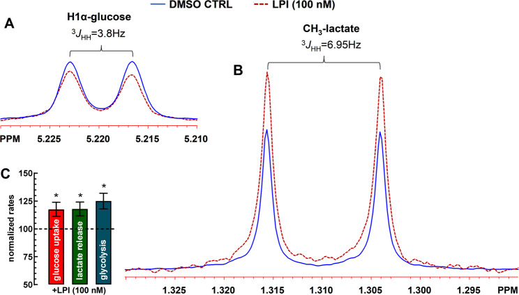 The endogenous GPR55 agonist, LPI (100 nM) stimulates glucose uptake, glycolysis and lactate release in rat cortical astrocytes. A, B The X-axis labeled in ppm (parts per million) represents chemical shift, which illustrates the electronic environment of the proton (¹H). Multiplets (splitting patterns) occur due to scalar coupling between nearby hydrogens. The coupling constant, labeled ³JHH, is measured in Hz and reflects the interaction between two protons three bonds apart. H1α-glucose resonance or α-anomer of glucose refers to a specific cyclic form of glucose where the hydroxyl group at the anomeric carbon (carbon 1) is in the axial position (pointing down). In this configuration, the anomeric hydroxyl group is on the same side of the ring as the CH₂OH group on carbon 5. The splitting constant ³JHH = 3.8 Hz is a fingerprint for an axial-equatorial coupling in a pyranose ring (like H1α-glucose). The position (chemical shift in ppm) is usually around 5.2–5.5 ppm for H1α in aqueous solution. This signature doublet and coupling constant are diagnostic signals of D-glucose. Lactate was identified by the characteristic CH3 doublet at δ ~ 1.31 ppm (³JHH = 6.95 Hz). The coupling constant of 6.95 Hz is typical for a 3-bond coupling in such a structure, while the methyl group of lactate, which is coupled to the methine proton (-CH(OH)-CH₃), shows up as a doublet for the resonance of the methyl group (-CH₃ coupled to one proton), usually near 1.3 ppm. Absolute D-glucose consumption and lactate production were determined by comparison of the intensity of the resonances due to glucose (H1α) and lactate (-CH3) with the resonance of the used internal standard (fumarate 2 mM), taking into consideration the number of protons contributing to each resonance. C Bar graph summarizing the calculated glucose uptake, lactate release and glycolytic rates for n = 5 independent astrocytic cultures in triplicates, *p < 0.05