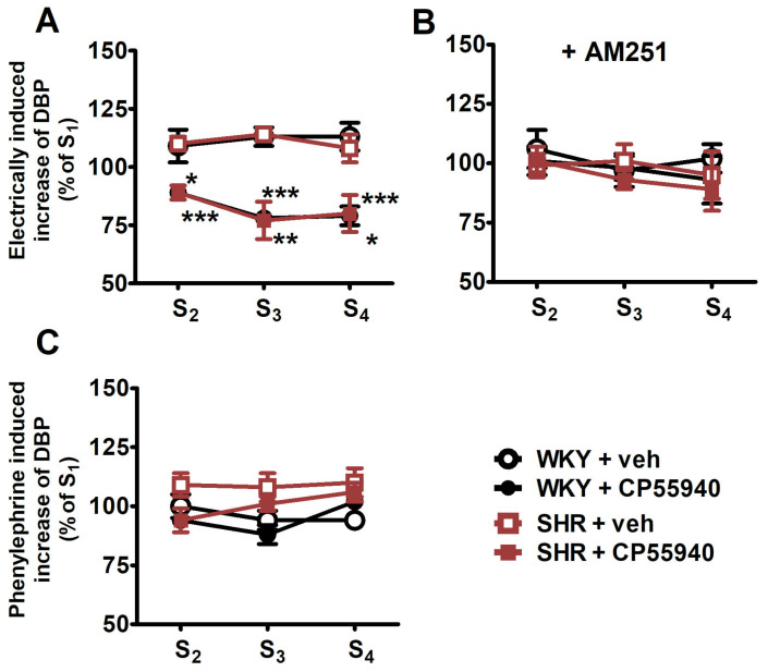 Panel (A): Influence of the cannabinoid receptor agonist CP55940 on the electrically (0.75 Hz, 1 ms, 50 V, 5 pulses) induced increase in diastolic blood pressure (DBP) in pithed and vagotomised spontaneously hypertensive rats (SHR) and normotensive Wistar–Kyoto rats (WKY). Panel (B): Effects of CP55940 in the presence of the CB1 receptor antagonist AM251. Panel (C): Effect of CP55940 on the phenylephrine (0.01 μmol/kg)-induced increase in DBP. Increasing doses of CP55940 (0.01, 0.1 and 1 μmol/kg) or its vehicle (veh) were given 5 min before S2, S3 and S4. AM251 (3 μmol/kg) or its vehicle was administered 10 min before S1. Each rat was injected with pancuronium (0.8 µmol/kg) 5 min before S1. Means ± SEM of n for panels (A–C), respectively: WKY + veh: n = 5, 5, and 6; for WKY + CP55940: n = 7, 8, and 7, for SHR + veh: n = 6, 5, and 7, and for SHR + CP55940: n = 7, 7, and 7; * p < 0.05, ** p < 0.01, *** p < 0.001 vs. respective group with vehicle for CP55940.