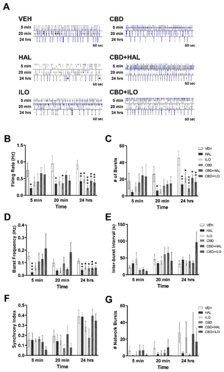 Temporal effect of cannabidiol (CBD) and/or antipsychotic exposure on neuronal activity in cultures derived from female SAL rats. (A) Representative raster plots following administration of each drug at 5 min, 20 min, and 24 h. (B–D) All drugs induced a transient decrease in firing rate, number of bursts, and burst frequency with all drugs inducing significantly reduced activity at 24 h. However, haloperidol (HAL) showed rapid onset effects, decreasing firing and bursting activity at 5 min. (E–G) There were no drug effects on inter-burst interval, synchrony index, or the number of network bursts at any time point. Data are expressed as means ± SEM. N = 3 biological replicates. * p < 0.05, ** p < 0.01, *** p < 0.001 compared to VEH-exposed neurons, planned comparison Student’s t-test.