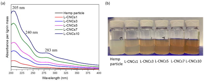 (a) UV–vis absorption (normalised per lignin mass in hemp particle and L-CNCs) and (b) digital image of hemp particle and L-CNCs.