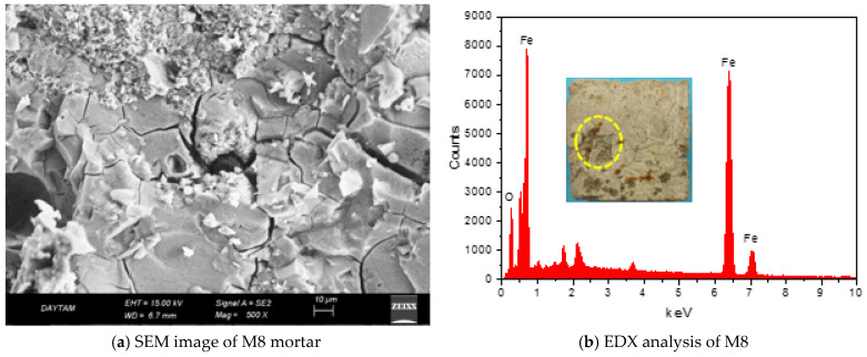SEM image and EDX analysis after 100 F-T.