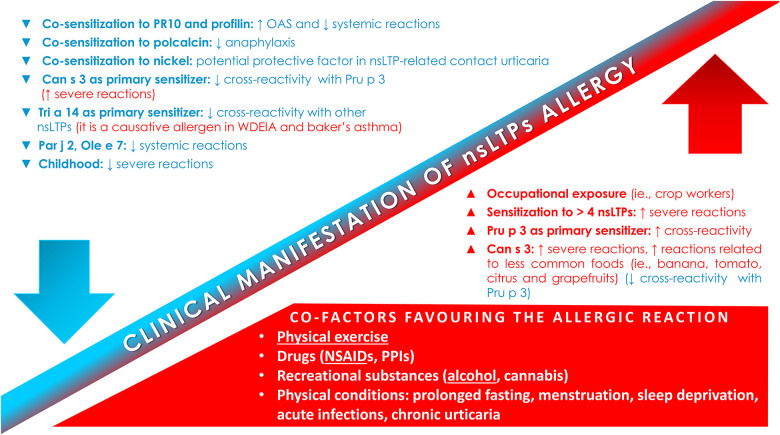 Factors and co-factors influencing the clinical manifestation of nsLTPs allergy. NSAIDs-induced hypersensitivity; NSAIDs, non-steroidal anti-inflammatory drugs; nsLTPs, non-specific lipid transfer protein; OAS, oral allergic syndrome; PPIs, proton pump inhibitors.
