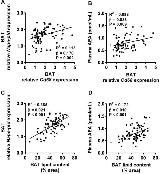 Both macrophage marker expression in BAT and lipid content of BAT positively correlate with plasma AEA levels. Linear regression analysis was performed on correlations between Cd68 expression relative to 0 week of HFD in BAT and Nape-pld expression in BAT (A) or plasma levels of AEA (B). Also, linear regression analysis was performed on correlations between lipid content of BAT and Nape-pld expression relative to 0 week of HFD in BAT (C) or plasma levels of AEA (D). Correlations are shown for all samples depicted in black (n = 86 in A,C and n = 81 in B,D). Samples depicted in gray were regarded as biological outliers based on 2-AG and AA levels and therefore excluded from linear regression analyses.