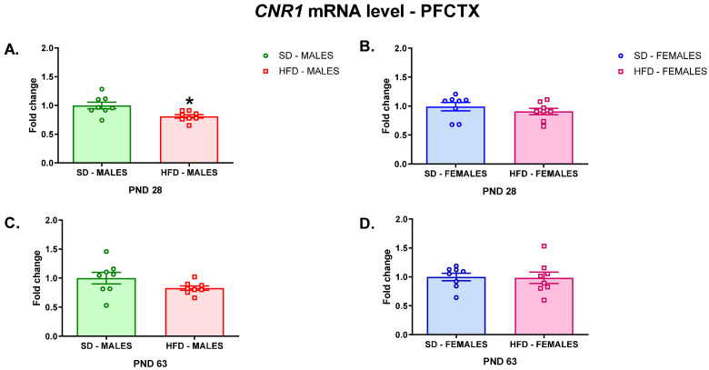 Changes in the Cnr1 mRNA level in the PFCTX of adolescent (A) male and (B) female offspring or young adult (C) male and (D) female offspring whose mothers were fed on an SD or HFD during pregnancy and lactation. HFD—high-fat diet; PFCTX—prefrontal cortex; PND—postnatal day; SD—standard diet. Data are presented as the mean ± SEM with individual value plots. N = 8 rats/group. * p < 0.05 vs. SD.