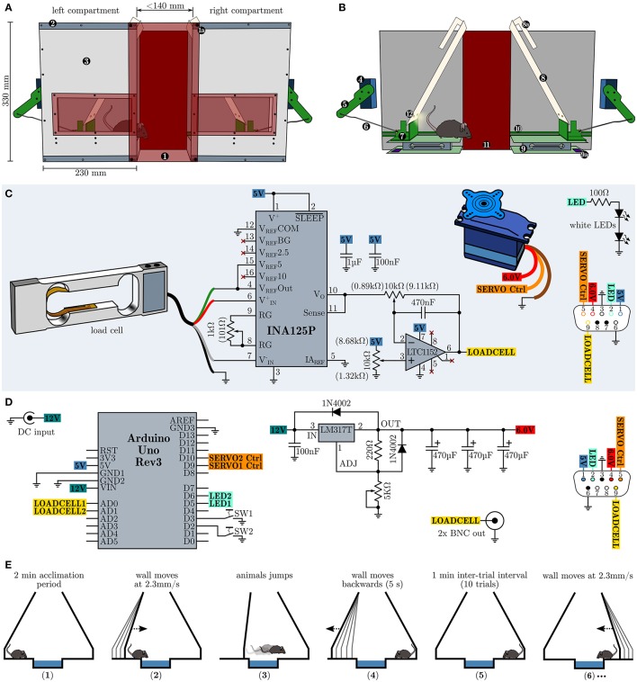 Design, schematics and operational procedure of the moving wall box (MWB). (A) Overview of the MWB. (1) Red transparent front cover which is equipped with four strong neodymium magnets at its corners (1a) and allows to adjust the distance between the left and the right compartment via metal bands (2). The front cover of the compartments (3) is equipped with a red transparent window, allowing to observe the animal at all times. (B) Inner workings of the MWB. Servo motor (4); articulated joint, consisting of an arm (5) and a rod (6); sliding carriage (7) supporting the moving wall (8), which itself is equipped with slotted mounts (8a); balance (9), consisting of two opposite plates and the load cell signal conditioning circuit (9a); rails (10) for the sliding carriage; red transparent back cover (11); two white LEDs per wall (12). (C) Schematic depiction of the circuitry of one compartment. Potentiometer settings which gave best results are given in brackets. (D) MWB controller circuity. (E) Schematic representation of the MWB task procedure. (1) acclimatization for 2 min; (2) the wall of the compartment in which the mouse resides starts to move with constant speed of 2.3 mm/s, maximal for 60 s (138 mm); (3) the wall stops to move once the animal has shuttled to the opposite compartment; (4 and 5) during a 1 min inter-trial interval the first wall move quickly back to its default position; (6) subsequently the wall of the compartment in which the mouse resides starts to move and the second trial has started. This cycle is repeated 10× per session.