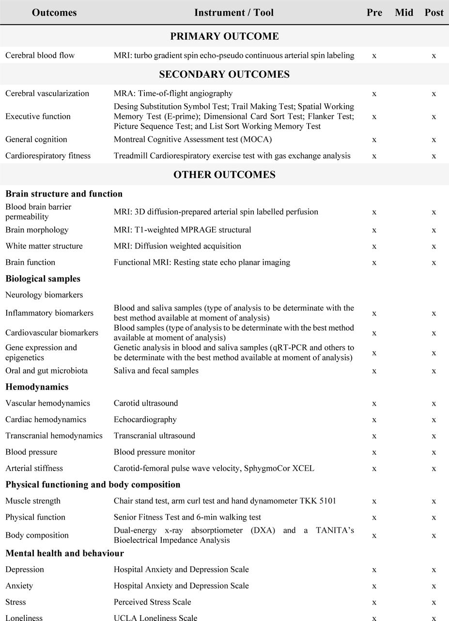 Outcomes instruments and time points of data collection.
