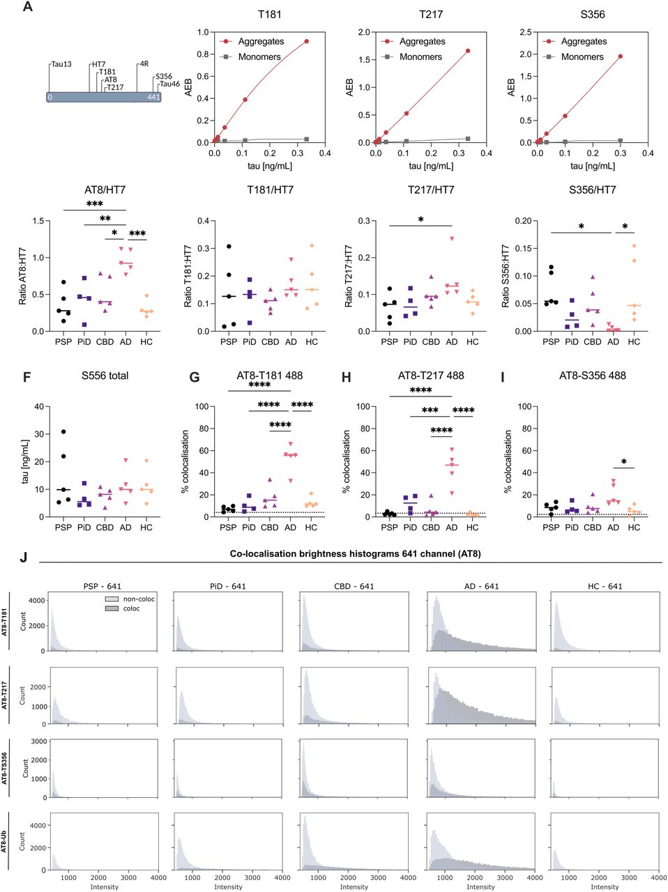: Phospho-epitope profiling and co-localisation of small tau aggregates. (A) Validation of Simoa assays for the detection of tau aggregates phosphorylated at T181, T217 and S356. (B–E) Aggregate-specific Simoa assays quantifying the proportion of tau aggregates positive for phospho-epitopes AT8 (pS202/pT205), pT181, pT217, and pS356, expressed as ratios over HT7 aggregates (pan tau). (F) Total levels of S356 phosphorylation (monomeric and aggregated tau) measured by Simoa. (G–I) Percentage of co-localisation of pT181, pT217, or pS356 (488 channel) with AT8-positive tau aggregates as determined by two-colour single-molecule co-localisation microscopy. (J) Histograms of fluorescence intensity (AT8-641 channel) of AT8-positive aggregates, stratified by co-localisation with secondary phospho-epitopes (488 channel). Each row corresponds to a co-labelling condition (AT8–T181, T217, S356, Ubiquitin), and each column to a disease group (PSP, PiD, CBD, AD, HC). Co-labelled and non-co-labelled populations are shown in dark and light grey, respectively. Each point represents one case (n = 4 for PiD, n = 5 for other disease groups). For (B – I) one-way ANOVA with Tukey’s post hoc test; *p < 0.05, **p < 0.01, ***p < 0.001.