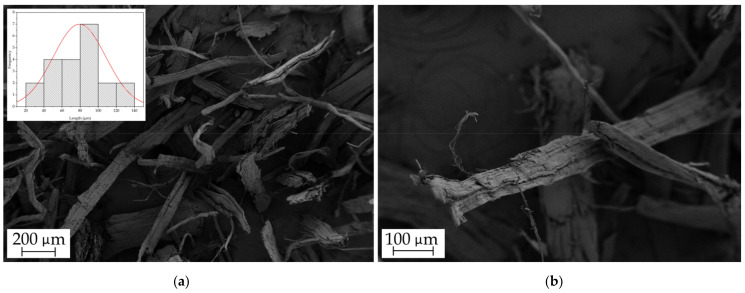 FESEM images of short hemp fiber at (a) 50× with a scale marker of 200 µm with a fiber fineness histogram and (b) 125× with a scale marker of 100 µm.