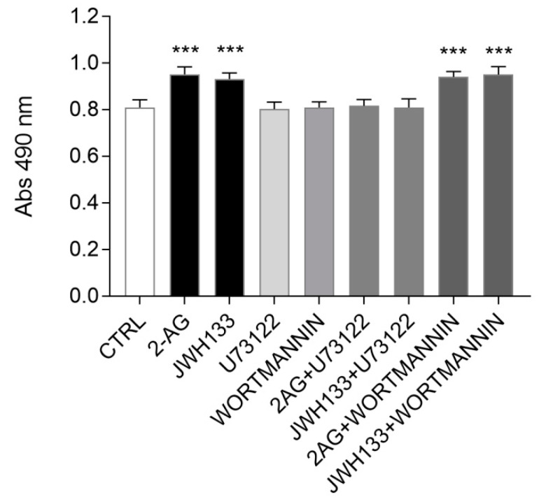 Evaluation of Phospholipase C (PLC) and PI3K pharmacological blockade on 2-AG- and JWH133-induced ST14A cell number increase. Cells were pretreated 30 min with U73122 (2 μM) or wortmannin (150 nM) prior to 2-AG (5 μM) or JWH133 (300 nM) incubation for 24 h in 2% serum-containing medium. U73122, but not wortmannin pretreatment, reverted 2-AG- and JWH133-driven ST14A cell number increase. Data from MTS assay are expressed as means ± standard deviation (SD) of the absorbance (λ = 490 nm); n = 8 replicates, 3 independent experiments. *** = p ≤ 0.001 vs. control.