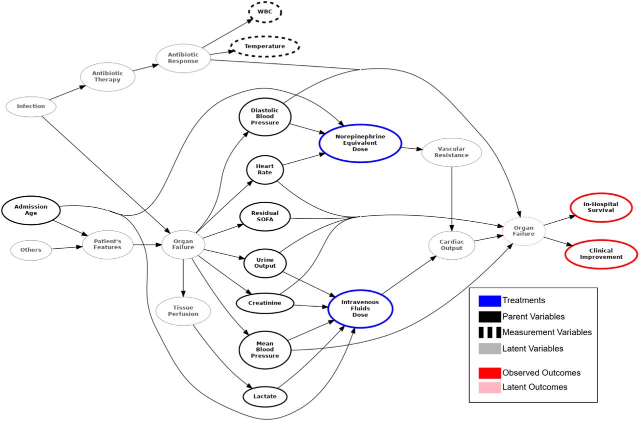 Causal Graph: DAG encoding the assumptions of our study. Outcomes are shown in red, decision variables in blue, backdoor variables in black, noisy proxies in dashed black, unmeasured variables in grey and unmeasured outcomes in pink.