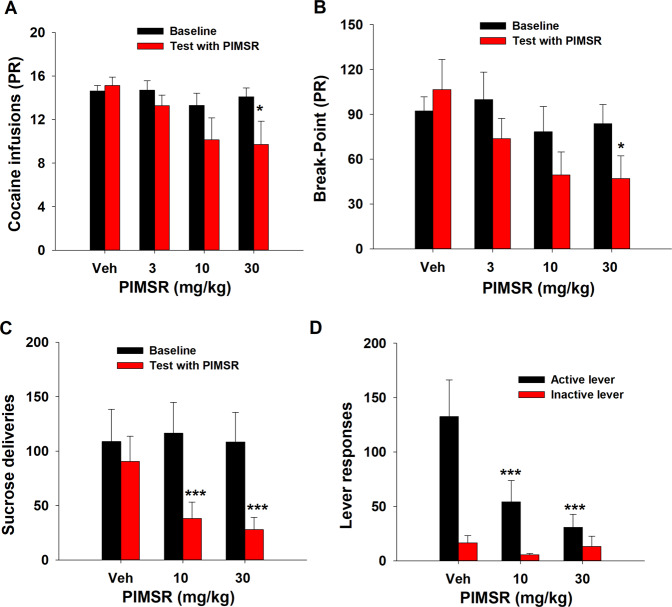 The effect of PIMSR on PR cocaine self-administration and FR1 oral sucrose self-administration.A, B PIMSR inhibited cocaine self-administration under PR reinforcement in a dose-dependent manner (n = 7), as assessed by the number of cocaine infusions (A) and break-point (B). C, D PIMSR dose-dependently inhibited oral sucrose self-administration under FR1 reinforcement (n = 6), as assessed by the number of sucrose deliveries (C) and active lever responses (D). PIMSR did not alter inactive lever responses. *p < 0.05, ***p < 0.001, compared to vehicle.