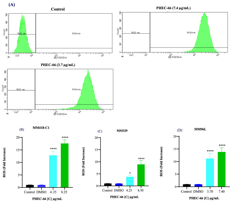 Effect of PHEC-66 treatment on cellular ROS level in melanoma cells. (A) ROS levels for MM96L were measured using BD LSRFortessa, (B) MM418-C1, (C) MM329, and (D) MM96L were treated for 24 h with PHEC-66 h at both 50% and 100% of its IC50 concentration. Data are expressed as the means ± standard deviations of triplicate experiments (n = 3). Significant differences between PHEC-66-treated cells and vehicle-control cells are marked with * p < 0.05, **** p < 0.0001.