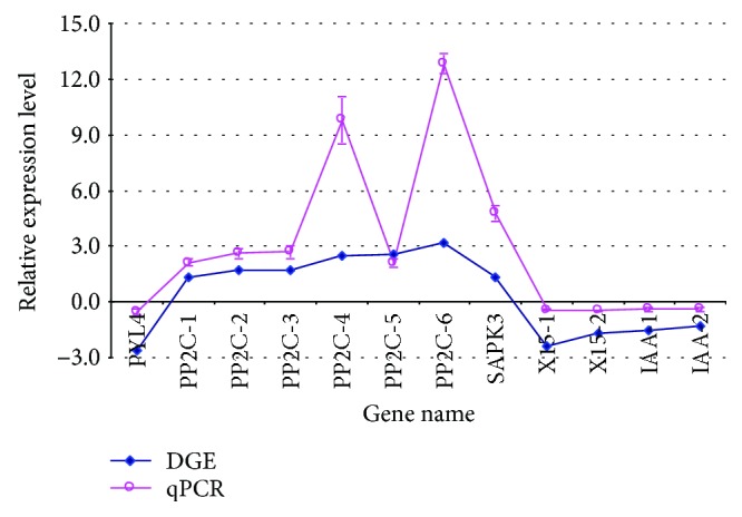 Validation of the expression of drought stress-induced genes by qRT-PCR. Data from qRT-PCR are means of three replicates, and bars represent standard error. PYL4: abscisic acid receptor PYL4 (JP449530); PP2C-1: protein phosphatase 2C (JP474397); PP2C-2: protein phosphatase 2C (JP473042); PP2C-3: protein phosphatase 2C (JP478284); PP2C-4: protein phosphatase 2C (JP477418); PP2C-5: protein phosphatase 2C (JP469562); PP2C-6: protein phosphatase 2C (JP455237); X15-1: auxin-induced protein X15 (JP473847); X15-2: auxin-induced protein X15 (JP472037); IAA-1: indole-3-acetic acid amido synthetase (JP480028); IAA-2: indole-3-acetic acid-induced protein ARG7 (JP461329); SAPK3: serine/threonine-protein kinase (JP477935). Pearson correlation coefficient (R = 0.777) analysis showed strong correlation between the qRT-PCR and RNA-Seq data.