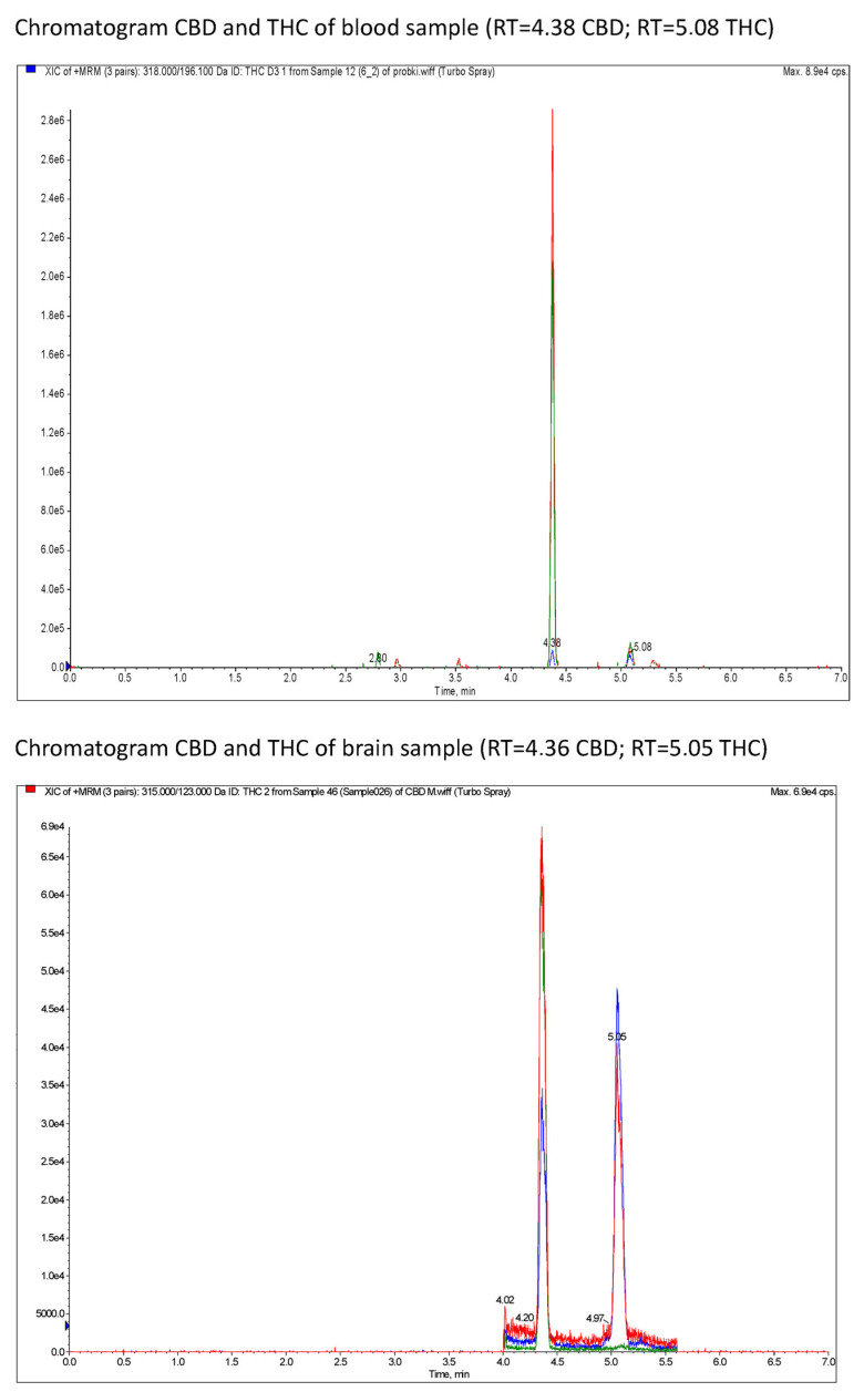 XIC (extracted ion chromatograms) of MRM (multiple reaction monitoring) of CBD and THC of blood samples and brain samples in rats after a single oral dose of CBD and THC via a single oral dose of Cannabis sativa extract at 30 mg/kg (cannabidiol equivalent dose) in the solvents Cremophor EL [Kolliphor® EL, pH-range 6.0–8.0, Sigma Aldrich]/ethanol/saline solution (1:1:18) formulation and Rapae oleum.