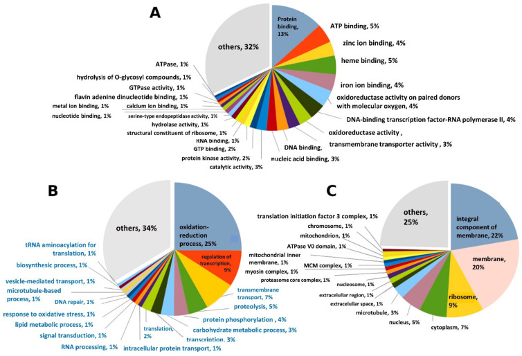 The functional category in the genome of Metarhizium sp. BCC 4849 predicted based on the gene ontology as follows: (A) molecular function, (B) biological process, and (C) cellular location.