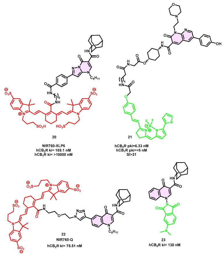Oxoquinoline-based fluorescent probe for CB2R.