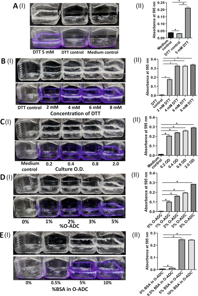 Formation of biofilm by Msm upon exposure to DTT: (A) (I) Culture of O.D.600–1.0 was exposed to 5 mM DTT (left panel). In control, no DTT was added to the culture (middle panel). To media alone, 5 mM DTT was added (right panel), (II) CV assays were performed on the samples described above. (B) (I) Msm cultures at an OD600 -1.0 were exposed to a 2 mM-8 mM range of DTT, and biofilm formation was recorded after 29 h of DTT exposure observed visibly, (II) quantified with CV assay. 4–6 mM of DTT leads to the formation of biofilm. (C) (I) Cultures of different O.D. (0.2 – 2) were exposed to 6 mM DTT, and biofilm formation was recorded after 29 h of DTT exposure observed visibly, (II) quantified with CV assay. Biofilm formation was observed at all O.D.s. (D) (I) Msm culture of OD600—1.0 was raised in a medium containing different concentrations of O-ADC (as indicated below the inkwell bottle). These cultures were exposed to DTT for 29 h and observed visibly, (II) quantified with CV assay. (E) (I) 7H9 medium was supplemented with reconstituted O-ADC having a variable concentration of BSA (concentration of BSA is denoted as % below the inkwell bottles), keeping the rest of the components constant. Bacterial culture was raised in these media and exposed to 6 mM DTT. Biofilm formation was facilitated in a BSA-dependent manner and was observed visibly, (II) quantified with CV assay. The column bar graphs were plotted using GraphPad Prism 8. Data represent mean ± SEM from 3 independent experiments. Statistical significance was determined using Student’s t-test, * indicates a p-value of < 0.05