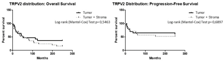 Survival of EC patients according to TRPV2 distribution. Kaplan–Meier survival curves showing OS and PFS of EC patients, according to TRPV2 distribution inside tumoral mass. The log-rank test with corresponding p values applies to the TRPV2—tumor and TRPV2—tumor + stroma.