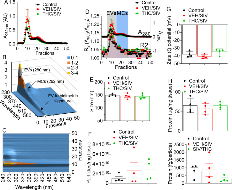 Physicochemical characterization of BG-EVs. A Absorbance at 280 nm of PPLC-isolated collagenase-digested BG eluates from VEH, SIV and THC/SIV groups (n = 4/group). B 3D-surface plot featuring the EV-turbidimetric signature. C Contour representation highlighting the non-membranous molecular condensates (MCs) whose UV-peak blue-shifted to 262 nm. D R2 index detected in fractions 7–16, confirming the presence of EVs in these fractions, whereas fractions 19–28 contained the MCs. E, F PPLC-derived particle size (E) and concentration (F). G Zeta (ζ)-potential of BG-EVs as measured by NTA (ZetaView). H Quantification of EV-associated total protein as measured by the Bradford assay (top) and assessment of the protein weight per EV particle (Bottom). N = 4 per group. Error bars represent standard error of the mean. No statistical differences were noted