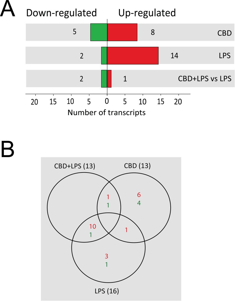 Deep sequencing analysis of the miRNA of BV-2 cells following treatment with LPS and cannabinoids.miRNA was extracted from BV-2 cells treated with LPS and cannabinoids and subjected to deep sequencing analysis as described in Methods. (A) Number of differentially expressed miRNAs that were either significantly upregulated (red) or downregulated (green) across the different treatment conditions versus control untreated cells and versus LPS (p≤0.005). The differentially expressed miRNAs were identified by using a threshold of a 1.5-fold change. (B) Venn diagrams representing the numbers of BV-2 microglial miRNAs that were either upregulated or downregulated at a significance of p≤0.005 following treatments with LPS, CBD and CBD + LPS.