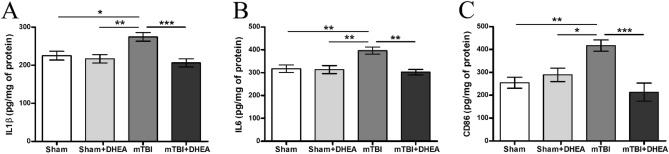In vivo effect of DHEA on pro-inflammatory responses in mTBI. Level of (A) IL1β, (B) IL6, (C) CD86 expression in the cerebral cortex. Data are the mean ± SEM, n = 7/group, *P < 0.05, **P < 0.01 and ***P < 0.001 (one-way ANOVA, post-test Tukey). Images were prepared with using GIMP 2.10.22 software (http://www.gimp.org/).