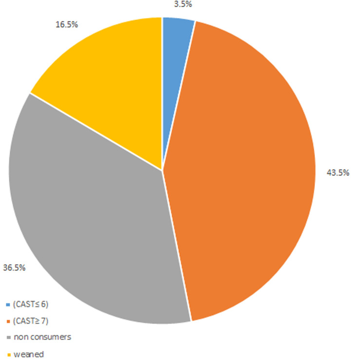distribution of cannabis use and level of consumption according to the CAST questionnaire
