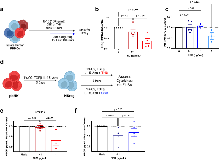 Cannabinoids decrease IFN-γ expression in human NK cells. a–c: PBMCs were isolated from healthy donor blood and incubated in the presence of absence of THC or CBD for 24 h and then stained for IFN-γ. a: Schematic illustrating experimental design. b: IFN-γ expression in NK cells relative to control following incubation in THC (n = 5 per group). c: IFN-γ expression in NK cells relative to control following incubation in CBD (n = 3–5 per group). d–f: Isolated pbNK cells were converted to NKreg cells and then incubated with THC or CBD. d: Schematic illustrating experimental design. e: VEGF amount relative to control following THC incubation (n = 3–4 per group). f: VEGF amount relative to control following CBD incubation (n = 5 per group). Data are means ± SEM, ∗P < 0.05, ∗∗P < 0.01 (b Kruskal–Wallis test, c, e and f one-way ANOVA).
