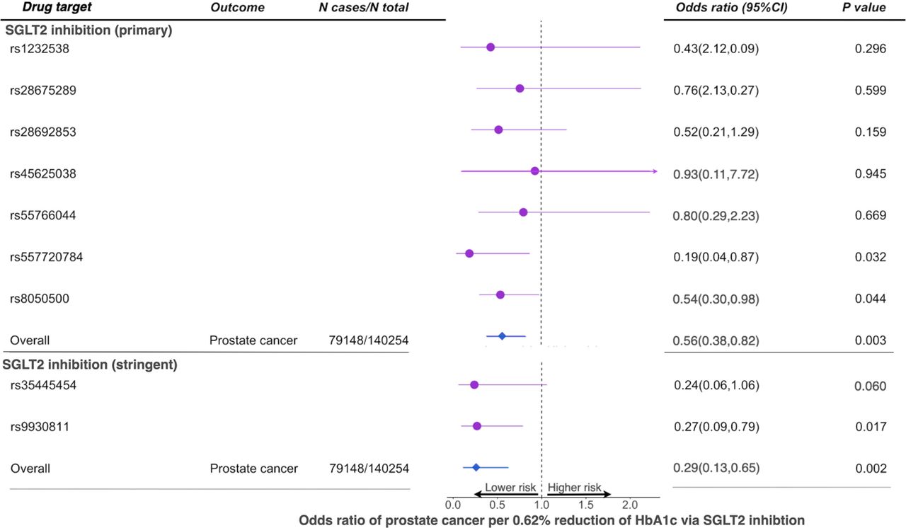 Mendelian randomization estimates of the effects of sodium–glucose cotransporter 2 (SGLT2) inhibition on prostate cancer risk in the general European population.Two sets of genetic instruments were used in this analysis. Primary instruments included seven genetic variants that were associated with HbA1c (P<5×10-8) in the SLC5A2 region. Stringent instruments were two genetic variants associated with both expression levels of SLC5A2 and HbA1c levels (with colocalization probability>0.7 between the two) in the SLC5A2 region.