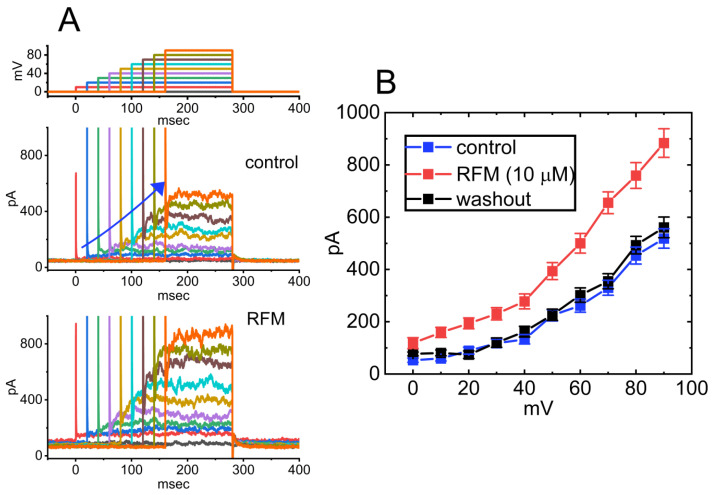Effect of rufinamide (RPM) on mean current–voltage (I-V) relationships of Ca2+-activated K+ current (IK(Ca)) identified in GH3 cells. (A) Representative current traces obtained in the absence (upper) and presence (lower) of 10 μM RFM. The uppermost part shows the voltage-clamp protocol applied. The potential traces labeled in different colors correspond to current ones acquired without or with RPM presence. The duration of each depolarizing step is different for better illustrations, and the blue solid arrow indicates the outwardly rectifying properties of IK(Ca) with increasing positive voltage. (B) Mean I-V relationships of IK(Ca) amplitude acquired in the control (blue squares), during exposure to 10 μM RPM (red squares), and following washout of RFM (black squares) (mean ± SEM for each point). Current amplitudes were measured at the end of each depolarizing step. This figure is adapted from Lai el al. [15] and published under the terms and conditions of the Creative Commons Attribution (CC BY) license.