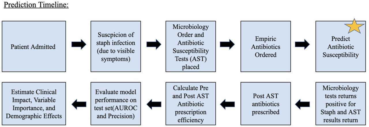 Prediction Timeline: Here we present the proposed prediction timeline for the classifier. First, a patient is admitted into the ICU and then the patient develops symptoms of a staph infection. Microbiology and AST cultures are ordered and then empiric prescriptions are given. Upon the time of antibiotic prescription, we make predictions on antibiotic susceptibility to guide empiric antibiotic regimens. Then we evaluate the clinician efficiency of prescription in both empiric and specific antibiotic regimens.