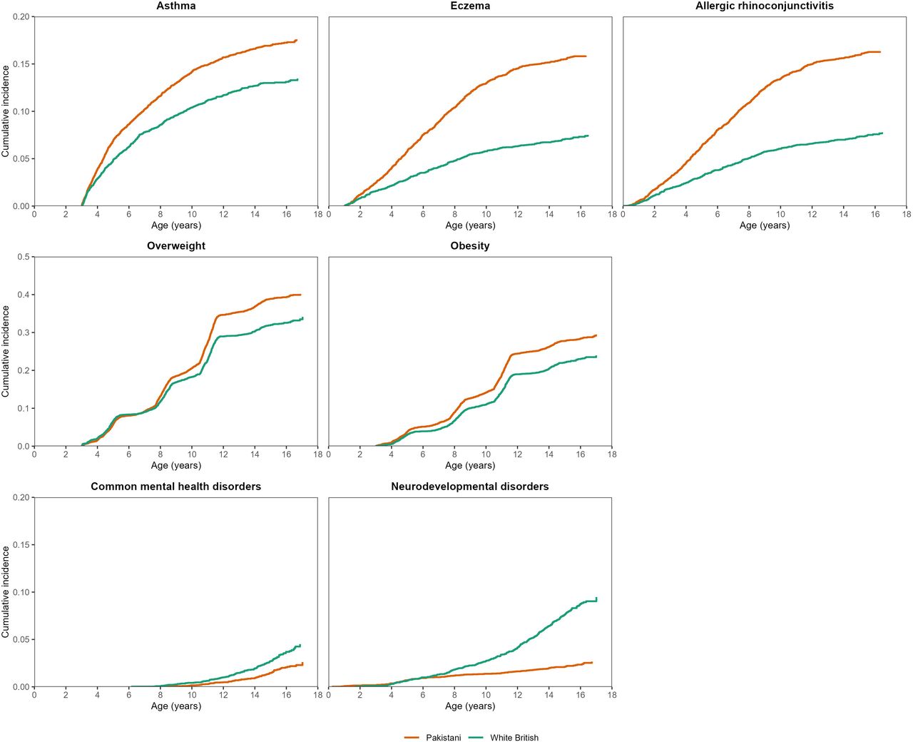 Cumulative incidence of childhood conditions by ethnicity.