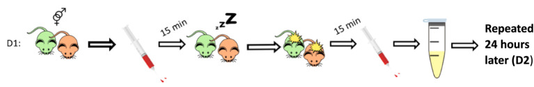 Diagram illustrating an experimental timeline with two mice, blood collection via syringe before and after a sleep period, sample centrifugation into a tube, and repetition 24 hours later.