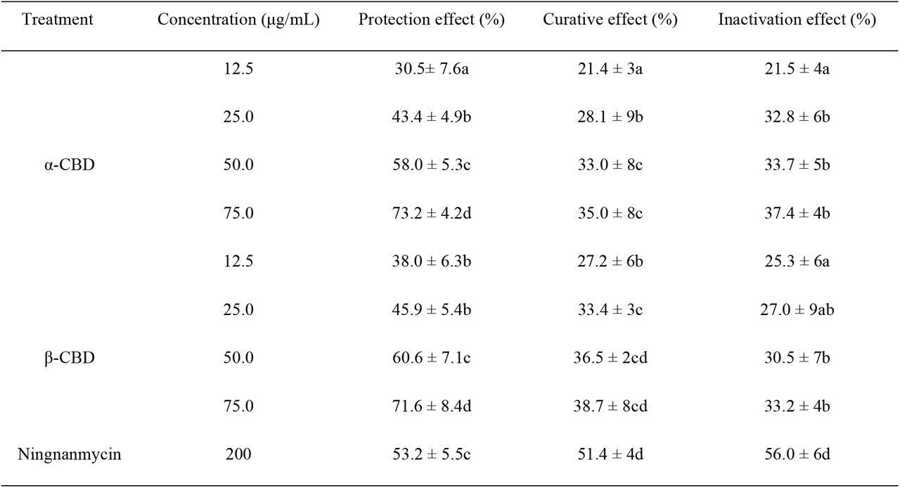 Inhibition effects of α and β-CBD on TMV in N. tabacum L. cv. Samsun NN by half leaf methodAll results are expressed as means ± SD; Numbers with different letters are statistically different at p < 0.05, n = 3 for all groups.