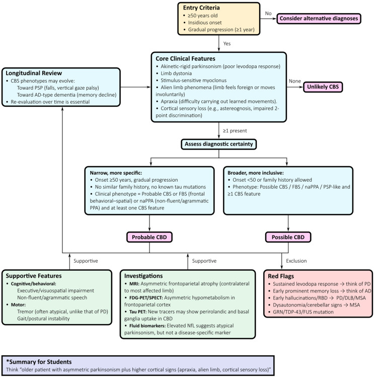 Diagnostic Algorithm for Corticobasal Syndrome (CBS) and Corticobasal Degeneration (CBD). This flowchart outlines a tiered diagnostic pathway for corticobasal syndrome and underlying corticobasal degeneration. The algorithm begins with the Armstrong clinical criteria, distinguishing “probable” from “possible” CBD based on asymmetric Parkinsonism, limb dystonia, myoclonus, and apraxia. Comprehensive neuropsychological assessment of executive, visuospatial, and language domains supports differential diagnosis, with non-fluent/agrammatic aphasia favouring CBD and early episodic memory loss suggesting Alzheimer’s disease–related CBS. MRI findings of asymmetric frontoparietal atrophy and functional imaging patterns on FDG-PET or perfusion SPECT strengthen clinico-anatomical correlations. Second-generation tau PET tracers demonstrate perirolandic and basal ganglia uptake in pathology-confirmed CBD. Fluid biomarkers, particularly elevated neurofilament light chain, improve prognostication when combined with imaging. Longitudinal follow-up captures phenotypic evolution toward PSP, behavioural-variant frontotemporal dementia, or posterior cortical atrophy. This probabilistic, multimodal approach reflects the shift from static labels to dynamic, biology-anchored diagnosis.