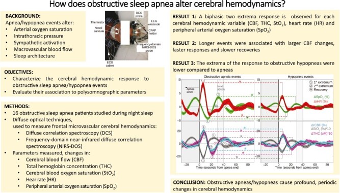 Graphical Abstract