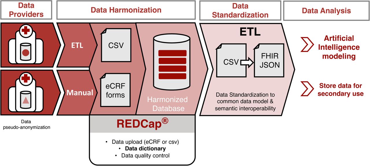 Clinical data processing workflow from clinical institutions to data analysis/sharing. Hospitals import data to REDCap following different paths depending on local resources: 1) some centres introduce data manually (filling online forms or CSV files) or 2) develop their own ETL scripts to automate the process. As a result, all clinical data from the different institutions are merged into a single harmonised database for each use case. Finally, all data is exported from REDCap as a CSV file for standardisation and conversion into FHIR-compliant files (FHIR JSON) and stored at the European Genome-Phenome Archive (EGA).