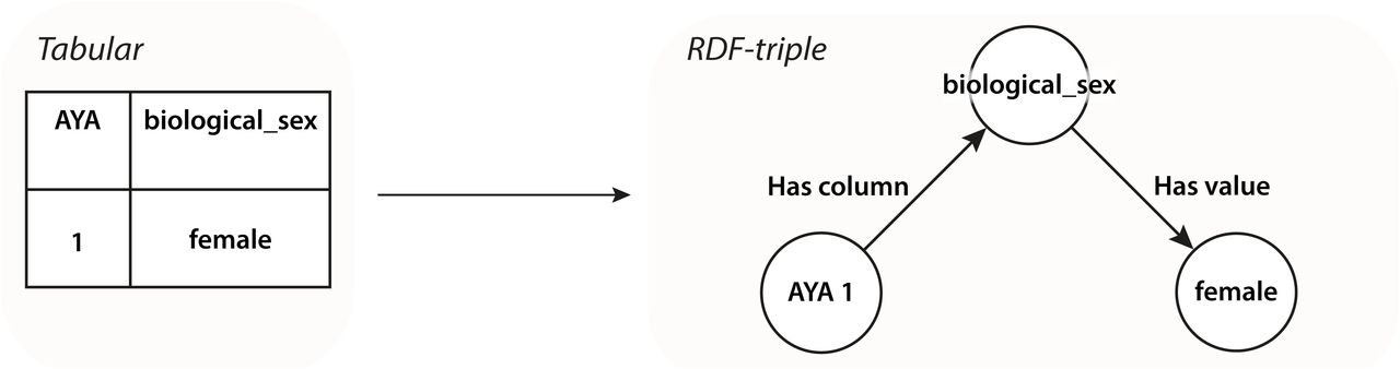 Conversion of tabular biological sex data to RDF-triple format using Flyover.
