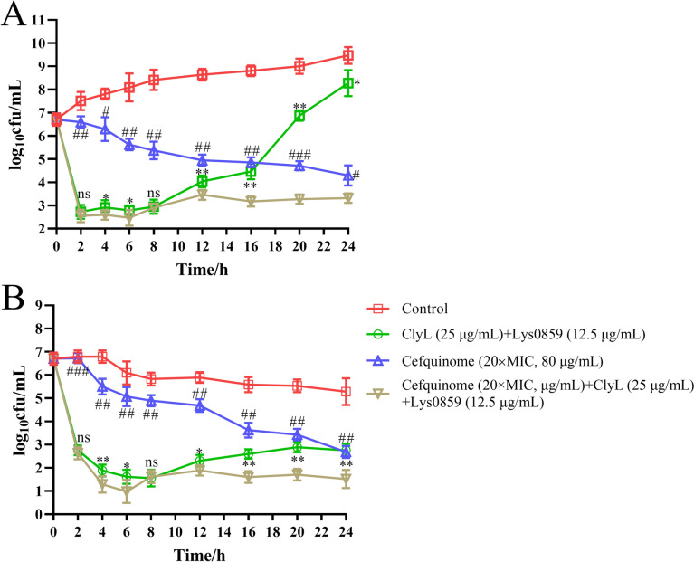 The antibacterial activity of the combination of phage lysin cocktail and cefquinome in culture medium and semen. The antibacterial activities of the phage lysin cocktail alone, cefquinome alone, and the combination of cefquinome and phage lysin cocktail were analysed in culture medium (A) and semen (B). PBS was used as a negative control. Staphylococcus 65 was added to the culture medium and semen. The bacterial strains of Staphylococcus 65 in the culture medium and semen were incubated at 37 °C for 24 h and tested by plating on TSB agar at different times. Significant differences between the ClyL + Lys0859 groups and the Cefquinome + ClyL + Lys0859 groups were determined via Student’s t test (ns P > 0.05, * P < 0.05, and ** P < 0.01). Significant differences between the cefquinome groups and the cefquinome + ClyL + Lys0859 groups were determined by Student’s t test (# P < 0.05, ## P < 0.01, and ### P < 0.001). All the experiments were repeated three times. The error bars represent the standard deviation (SD).