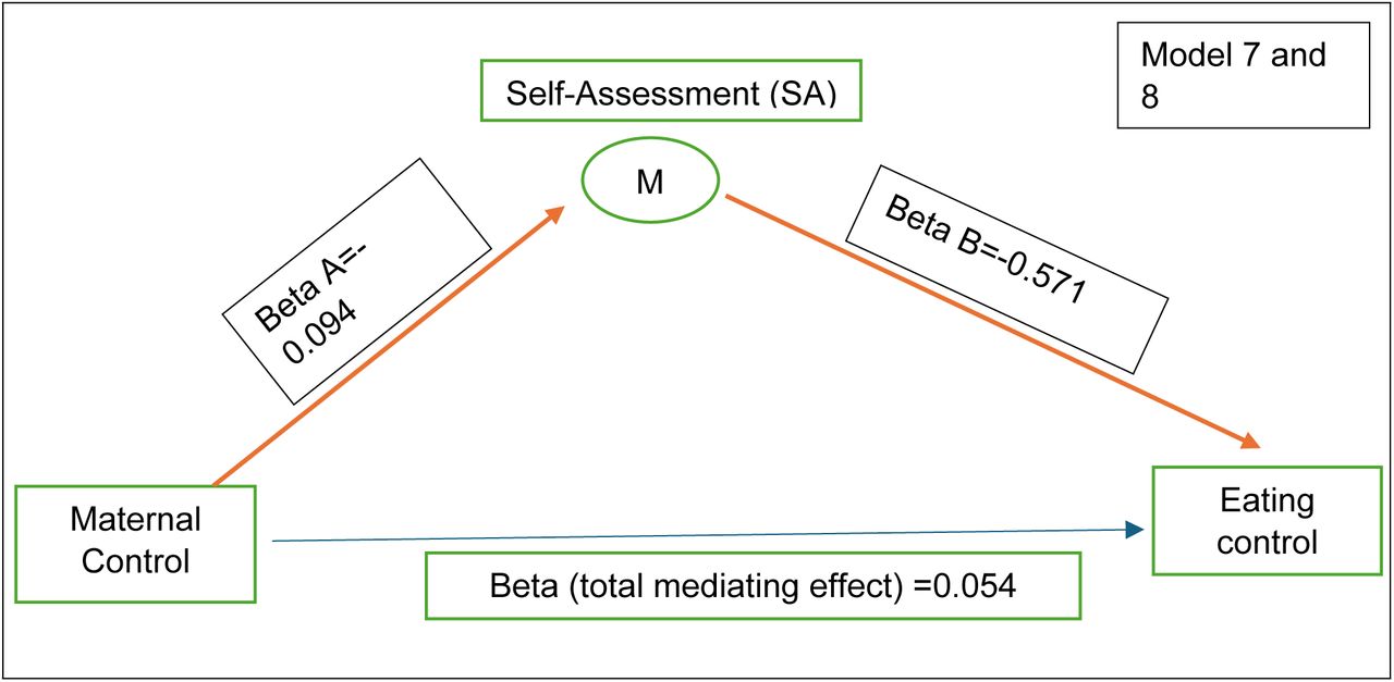 Mediating effect of Self-Assessment (SA) dimension on eating control in terms of maternal control (Red bold arrows illustrate the significant relationships)