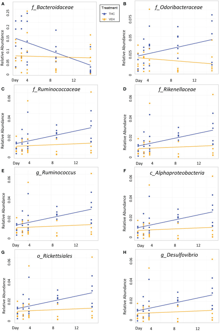 Bacterial relative abundance change over time comparison by treatment in male mice. Scatter plots displaying the relative abundance of 8 individual bacterial taxonomic features (identified at the top of each panel A–H) over time (Day) with treatment group identified by color. The trendlines are linear regressions of relative abundance over time separated by treatment. All 8 bacterial features have significantly different LME slopes between THC (n=6) and VEH (n=6).