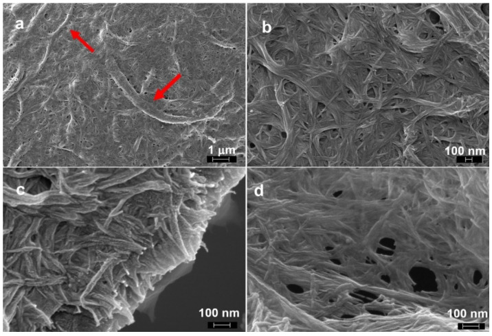 FESEM images of the nanocellulose, composed of nanosized nanofibrils mixed with micron sized fibrils: (a) lower magnification image in which some micron sized fibrils are indicated by arrows and (b–d) higher magnification images showing the network of nanosized fibrils.