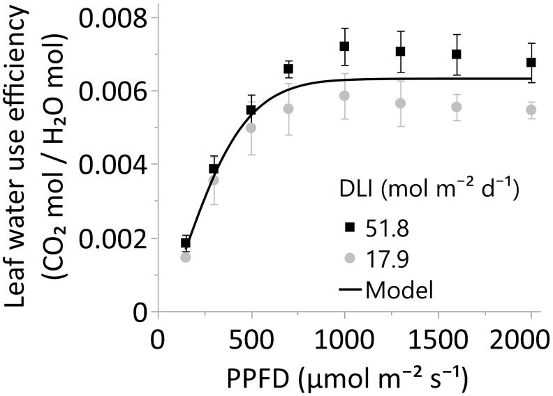 The leaf water use efficiency, or A/E, of leaves grown under greenhouse DLI levels of ~18 or 52 mol m-2 d-1. Young, fully expanded, and light-exposed leaves from both DLI treatments were evaluated at PPFDs of 150, 300, 500, 700, 1000, 1300, 1600, and 2000 µmol m⁻² s⁻¹ (Blue 18% and Red 82%) using a Li-6800 + 6800-01A. Comparison between DLI treatments at each PPFD level was performed by T-test. Differences between the two DLI levels were not statistically significant (α 0.05). The solid line represents the three-parameter model =0.0063*(1-e-(PPFD/330.76)^1.49). Equation decay parameters were not different from zero using the JMP Pro 17.0 four-parameter models. In all cases, N=6, n=3, and OU=1 leaf per plot.