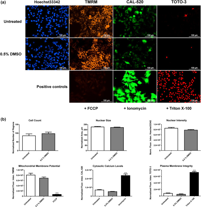 Fluorescence microscopic images of cells incubated with Hoechst33342, TMRM, CAL-520, and TOTO-3 (a) and measured effects on the six parameters (cell count, nuclear size, nuclear intensity, mitochondrial membrane potential, cytosolic calcium levels, and plasma membrane integrity) (b) obtained by incubation of cells without treatment, with 0.5% DMSO, and the corresponding positive control (FCCP, ionomycin, or Triton X-100). All parameters were normalized to the cell count except for the cell count, which was normalized to the number of appropriate images. Values are expressed as mean ± standard error of the mean (SEM; n = 5). Statistical analysis was done using either a t-test or one-way ANOVA followed by Dunnett’s post hoc test (***, P < 0.001 compared to untreated cells). Norm. Fluor. Inten., normalized fluorescence intensity